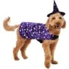 Frisco Cosmic Witch Dog & Cat Costume -Pet Supplies Discount Store 708982 MAIN. AC SS1800 V1689282565