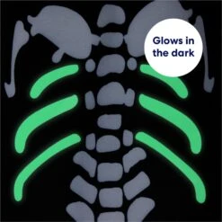 Frisco Glow In The Dark Skeleton Dog & Cat Costume 15 Frisco Glow In The Dark Skeleton Dog & Cat Costume -Pet Supplies Discount Store 709038 PT5. AC SS1800 V1689340910