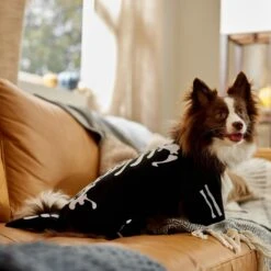 Frisco Glow In The Dark Skeleton Dog & Cat Costume 16 Frisco Glow In The Dark Skeleton Dog & Cat Costume -Pet Supplies Discount Store 709038 PT7. AC SS1800 V1689350988