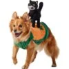 Frisco Pumpkin Cat Ride-On Dog & Cat Costume 2 Frisco Pumpkin Cat Ride-On Dog & Cat Costume -Pet Supplies Discount Store 709294 MAIN. AC SS1800 V1689270833