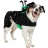 Frisco Witch Cauldron Ride-On Dog & Cat Costume 2 Frisco Witch Cauldron Ride-On Dog & Cat Costume -Pet Supplies Discount Store 709494 MAIN. AC SS1800 V1689270917