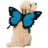 Frisco Magical Butterfly Wings Dog & Cat Costume Accessory -Pet Supplies Discount Store 713062 MAIN. AC SS1800 V1689271325