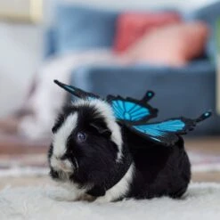 Frisco Small Pet Butterfly Wings 14 Frisco Small Pet Butterfly Wings -Pet Supplies Discount Store 714406 PT7. AC SS1800 V1688584657