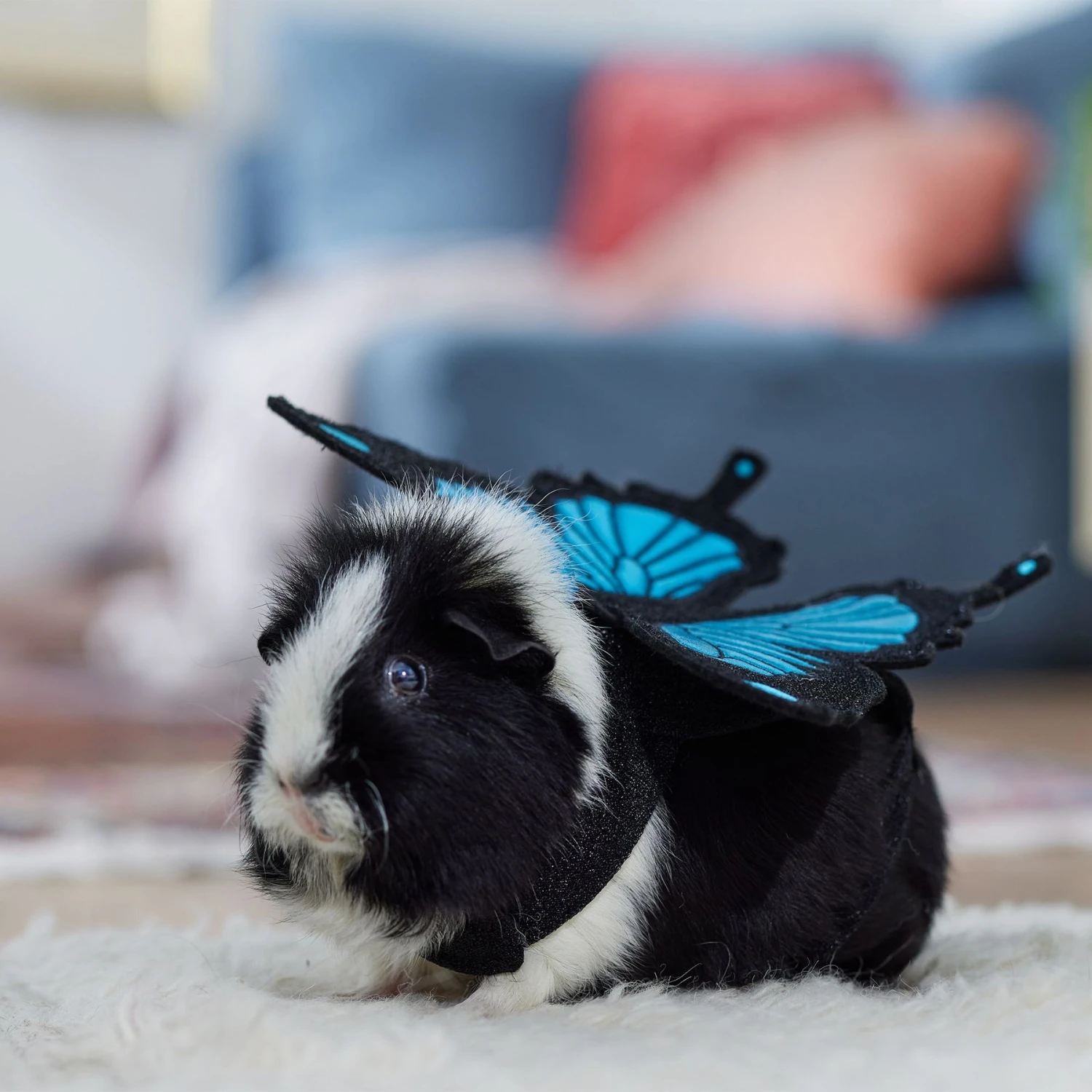 Frisco Small Pet Butterfly Wings 8 Frisco Small Pet Butterfly Wings - Image 6