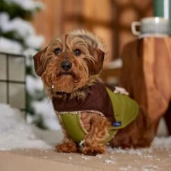 Frisco Heavy Weight 2-Tone Sherpa Lined Hybrid Quilted Dog & Cat Parka -Pet Supplies Discount Store 718038 PT7. AC SS1800 V1692378337