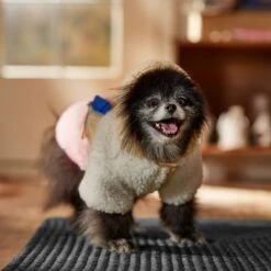 Frisco Colorblock Fleece Dog & Cat Hoodie W/ Pocket -Pet Supplies Discount Store 718278 PT7. AC SS1800 V1692375977