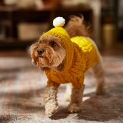 Frisco Sherpa Lined Chunky Cable Knit Dog & Cat Hooded Sweater -Pet Supplies Discount Store 718374 PT7. AC SS1800 V1692379031