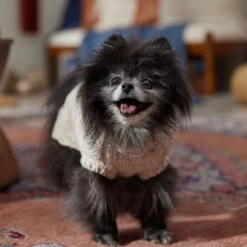 Frisco Sherpa Lined Chunky Cable Knit Dog & Cat Sweater 16 Frisco Sherpa Lined Chunky Cable Knit Dog & Cat Sweater -Pet Supplies Discount Store 718518 PT7. AC SS1800 V1692378338