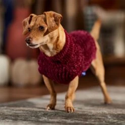 Frisco Cozy Textured Chenille Dog & Cat Sweater -Pet Supplies Discount Store 718614 PT7. AC SS1800 V1692378337