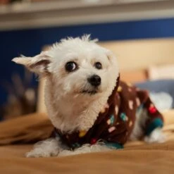 Frisco Cozy Plush Fleece Dog & Cat PJs, Mushrooms -Pet Supplies Discount Store 718950 PT7. AC SS1800 V1692378098