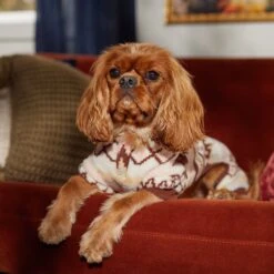 Frisco Fairisle Cozy Plush Fleece Dog & Cat PJs, Cream -Pet Supplies Discount Store 719006 PT7. AC SS1800 V1692376367