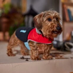 Frisco Medium Weight Retro Colorblock Mixed Media Dog & Cat Coat -Pet Supplies Discount Store 719462 PT7. AC SS1800 V1692379031