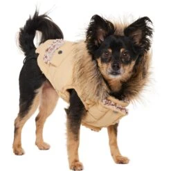 Frisco Heavy Weight Matte Quilted Dog & Cat Parka With Cozy Fleece Lining -Pet Supplies Discount Store 719654 PT2. AC SS1800 V1703184629