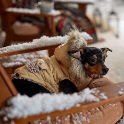 Frisco Heavy Weight Matte Quilted Dog & Cat Parka With Cozy Fleece Lining -Pet Supplies Discount Store 719654 PT7. AC SS1800 V1692376037