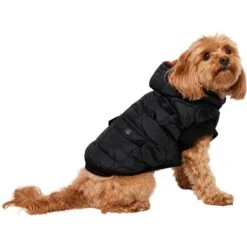 Frisco Heavy Weight Matte Quilted Volume Dog & Cat Puffer -Pet Supplies Discount Store 719750 PT2. AC SS1800 V1703184628