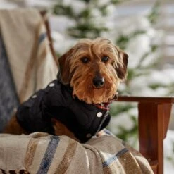 Frisco Heavy Weight Matte Quilted Volume Dog & Cat Puffer -Pet Supplies Discount Store 719750 PT7. AC SS1800 V1692377763