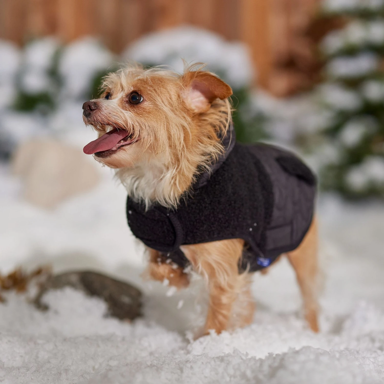 Frisco Heavy Weight Dog & Cat Quilted Hybrid Coat With Sherpa Lining 10 Frisco Heavy Weight Dog & Cat Quilted Hybrid Coat With Sherpa Lining - Image 8