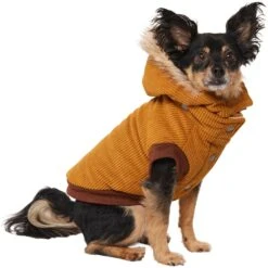 Frisco Heavy Weight Lux Corduroy Insulated Dog & Cat Coat With Fur Trimmed Hood -Pet Supplies Discount Store 719966 PT2. AC SS1800 V1703184628