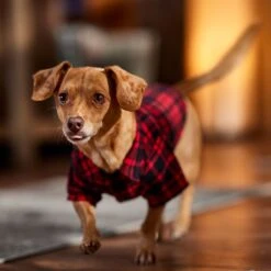 Frisco Red Tartan Plaid Dog & Cat Flannel Shirt 18 Frisco Red Tartan Plaid Dog & Cat Flannel Shirt -Pet Supplies Discount Store 720790 PT7. AC SS1800 V1693401090