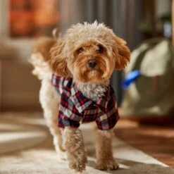 Frisco Red & Blue Plaid Dog & Cat Flannel Shirt -Pet Supplies Discount Store 720838 PT7. AC SS1800 V1693400998