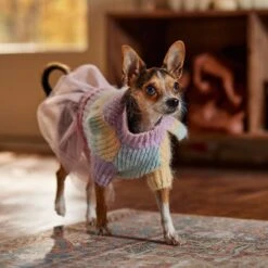Frisco Rainbow Dog & Cat Sweater Dress -Pet Supplies Discount Store 720934 PT7. AC SS1800 V1693401665