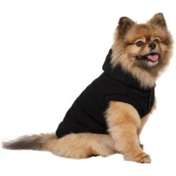 Frisco Quilted Fleece Dog & Cat Pullover Hoodie -Pet Supplies Discount Store 721030 PT2. AC SS1800 V1703194381