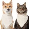 Frisco Solid Faux Fur Dog & Cat Bandana 2 Frisco Solid Faux Fur Dog & Cat Bandana -Pet Supplies Discount Store 733878 MAIN. AC SS1800 V1692379951