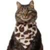 Frisco Leopard Faux Fur Dog & Cat Bandana -Pet Supplies Discount Store 733894 MAIN. AC SS1800 V1692379950