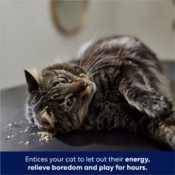 Frisco Natural Catnip & Hartz Just For Cats Mini Mice Cat Toy With Catnip, 5 Count 15 Frisco Natural Catnip & Hartz Just For Cats Mini Mice Cat Toy With Catnip, 5 Count -Pet Supplies Discount Store 737478 PT4. AC SS1800 V1683212204