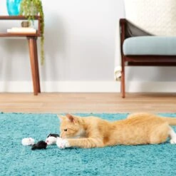 Frisco Natural Catnip & Hartz Just For Cats Mini Mice Cat Toy With Catnip, 5 Count 19 Frisco Natural Catnip & Hartz Just For Cats Mini Mice Cat Toy With Catnip, 5 Count -Pet Supplies Discount Store 737478 PT8. AC SS1800 V1683212080
