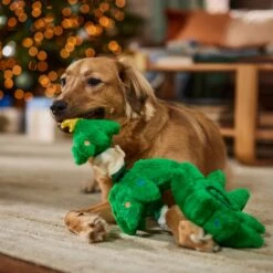 Frisco Holiday Elf In A Tree Bungee Plush Squeaky Dog Toy -Pet Supplies Discount Store 739846 PT3. AC SS1800 V1695047600