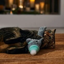 Frisco Holiday Interactive Flopping Seal Electronic Cat Toy With Catnip -Pet Supplies Discount Store 740102 PT4. AC SS1800 V1695043876