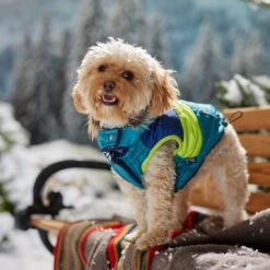 Frisco Heavy Weight Urban City Colorblock Dog & Cat Parka With Sherpa Lining -Pet Supplies Discount Store 742262 PT7. AC SS1800 V1692378161