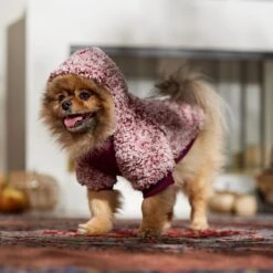 Frisco Textured Wubby 2-Tone Fleece Dog & Cat Hoodie -Pet Supplies Discount Store 742406 PT7. AC SS1800 V1692378336