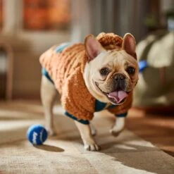 Frisco Wubby Textured Fleece Dog & Cat Hoodie W/ Pocket 18 Frisco Wubby Textured Fleece Dog & Cat Hoodie W/ Pocket -Pet Supplies Discount Store 742510 PT7. AC SS1800 V1692377765