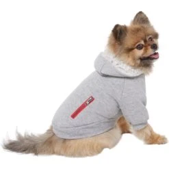 Frisco Sweatshirt Fleece Dog & Cat Hoodie With Sherpa Lining -Pet Supplies Discount Store 742550 PT2. AC SS1800 V1703194378