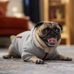 Frisco Sweatshirt Fleece Dog & Cat Hoodie With Sherpa Lining -Pet Supplies Discount Store 742550 PT7. AC SS1800 V1692378690