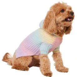 Frisco Soft Multi Stripe Ombre Dog & Cat Hooded Sweater -Pet Supplies Discount Store 742838 PT2. AC SS1800 V1703194379