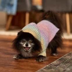 Frisco Soft Multi Stripe Ombre Dog & Cat Hooded Sweater -Pet Supplies Discount Store 742838 PT7. AC SS1800 V1692376365