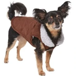 Frisco Medium Weight Quilted Dog & Cat Coat With Cozy Sherpa Lining -Pet Supplies Discount Store 744310 PT2. AC SS1800 V1703194386