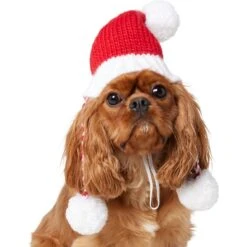 Frisco Chunky Knit Santa Dog & Cat Hat -Pet Supplies Discount Store 744878 PT2. AC SS1800 V1694812755