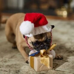 Frisco Chunky Knit Santa Dog & Cat Hat -Pet Supplies Discount Store 744878 PT5. AC SS1800 V1694793814