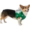 Frisco Ornament Dog & Cat Costume 1 Frisco Ornament Dog & Cat Costume -Pet Supplies Discount Store 745510 MAIN. AC SS1800 V1694800749