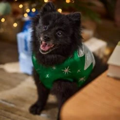 Frisco Ornament Dog & Cat Costume -Pet Supplies Discount Store 745510 PT7. AC SS1800 V1694795535