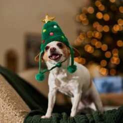 Frisco Christmas Tree Faux Fur Dog & Cat Hat 14 Frisco Christmas Tree Faux Fur Dog & Cat Hat -Pet Supplies Discount Store 745582 PT5. AC SS1800 V1694793444