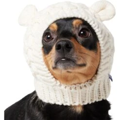 Frisco Polar Bear Sweater Knit Dog & Cat Hat -Pet Supplies Discount Store 745742 PT2. AC SS1800 V1694793756
