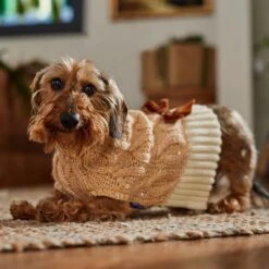 Frisco Cable Knit Dog & Cat Sweater Dress With Velvet Bow -Pet Supplies Discount Store 745838 PT8. AC SS1800 V1694793812
