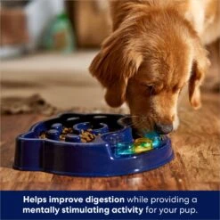 Frisco Interactive Dog Slow Feeder Bowl 10 Frisco Interactive Dog Slow Feeder Bowl -Pet Supplies Discount Store 761238 PT2. AC SS1800 V1696254583