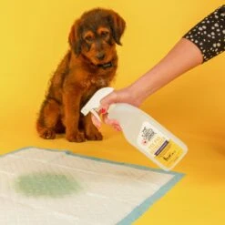 Skout's Honor Dog Pee Pad Refresher Spray, 28-oz Bottle & Frisco Washable Dog Potty Pads -Pet Supplies Discount Store 772958 PT4. AC SS1800 V1676749044