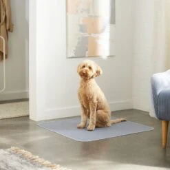 Skout's Honor Dog Pee Pad Refresher Spray, 28-oz Bottle & Frisco Washable Dog Potty Pads -Pet Supplies Discount Store 772958 PT8. AC SS1800 V1676752183